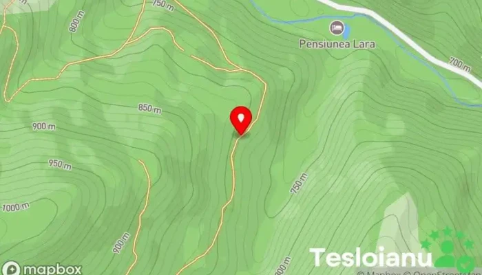 hartă a Cabana lui Ianis Cabană de camping în Valea Ierii