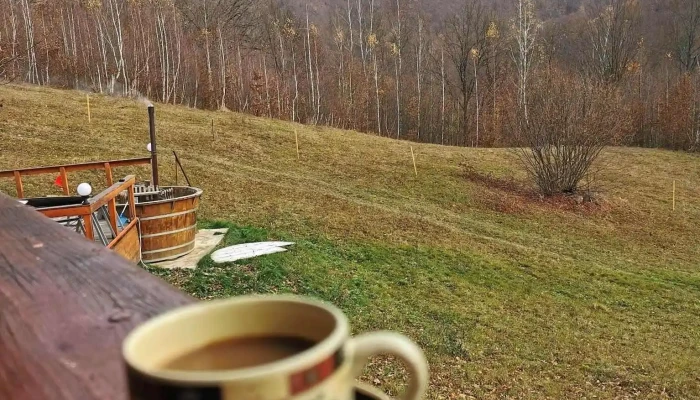 Cabana Lui Ianis -  Mancaruribauturi - Valea Ierii