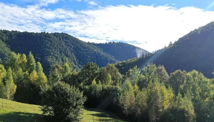 Cabana Lui Ianis -  Prețuri - Valea Ierii