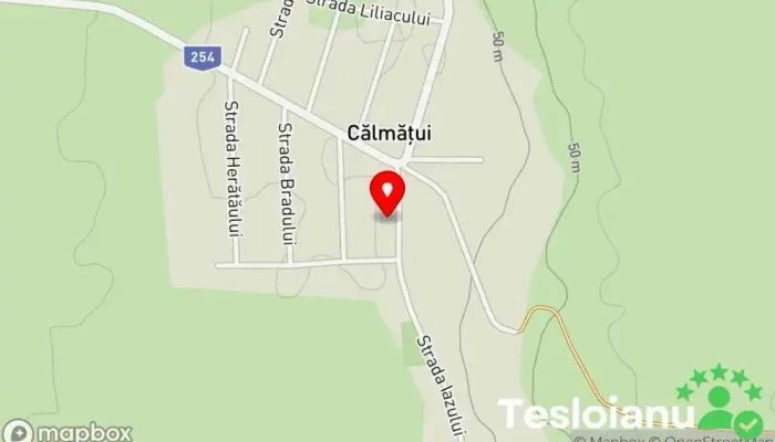 hartă a Călmățui  în Călmățui