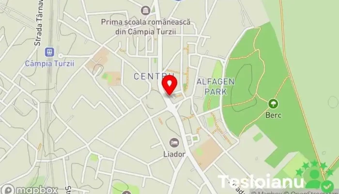 hartă a Câmpia eXpress Editură de ziare în Câmpia Turzii