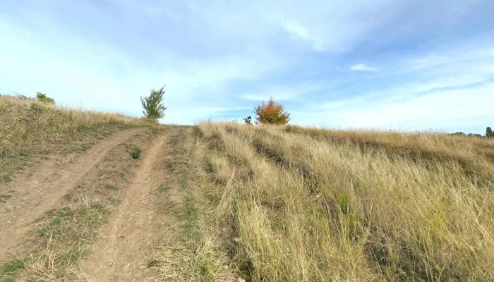 Campina Street View Si 360deg - Câmpina