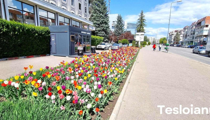 Campina Zonă - Câmpina