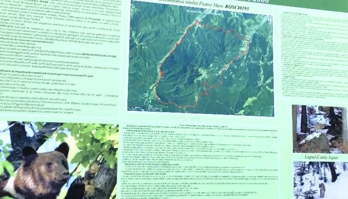 Canionul 7 Scari Adresă - Timișu De Jos