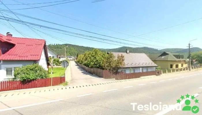 Canisa de Bucșoaia Vom Drelciuc - Bucșoaia