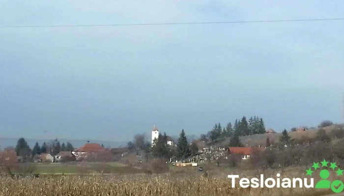 Capeni Aproape De Mine - Căpeni
