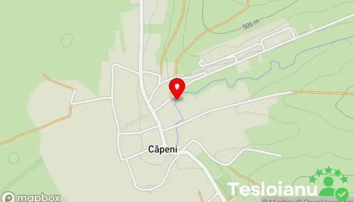 hartă a Căpeni  în Căpeni