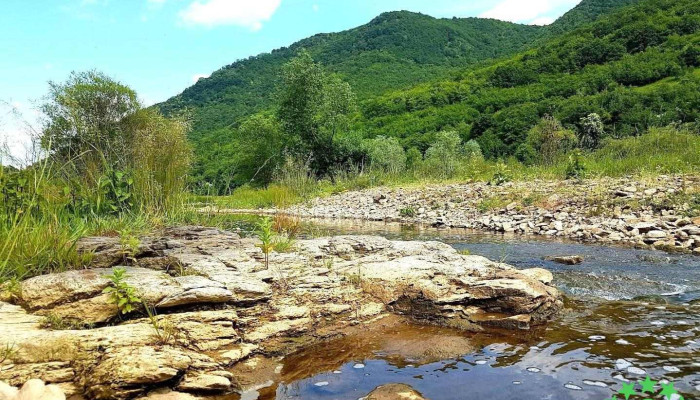 Capuş - Romania