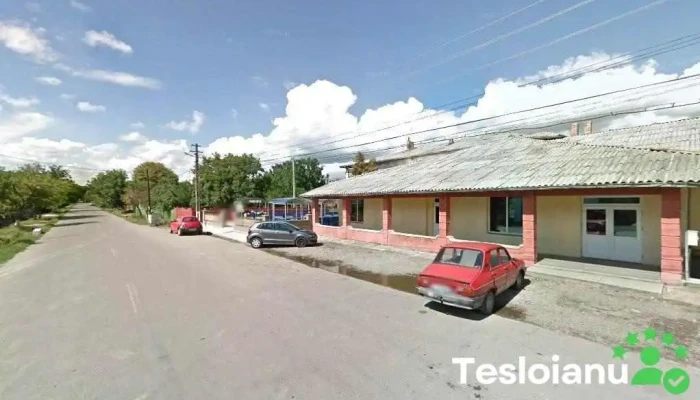 Car Învățământ Fălticeni Ag. Dolhasca - Dolhasca