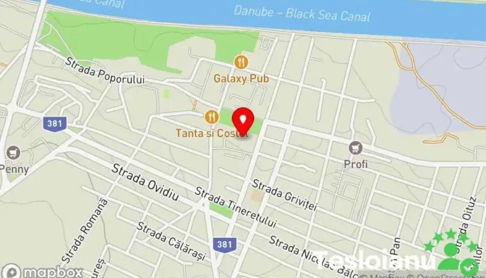 hartă a Casa cu Mesteri Instalator, Electrician, Lăcătuș în Medgidia