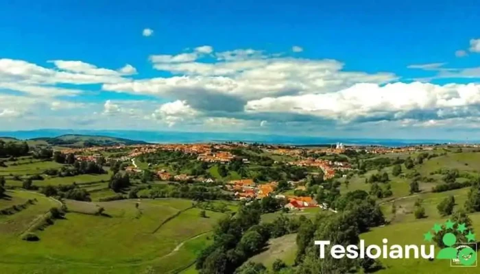 Casa Iancu Jina -  De La Proprietar - Jina