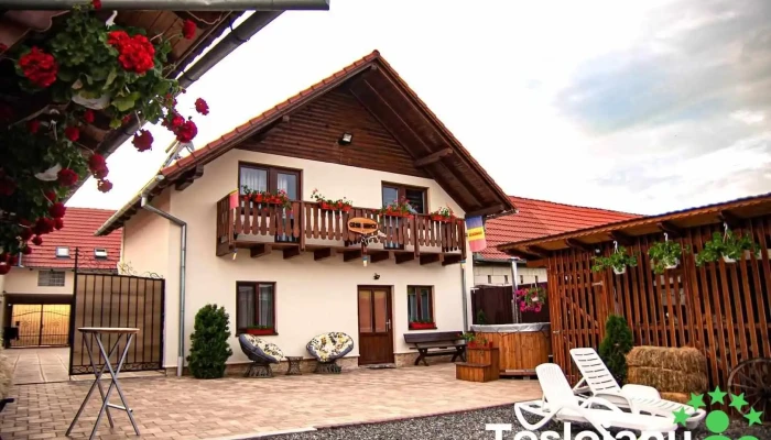 Casa Iancu Jina - Jina