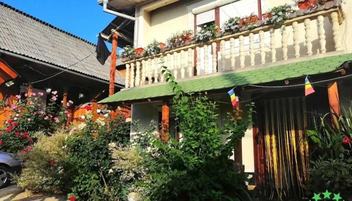 Casa Ionela Petreus De La Vizitatori - Poienile Izei