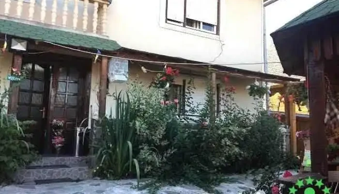 Casa Ionela Petreuș - Poienile Izei