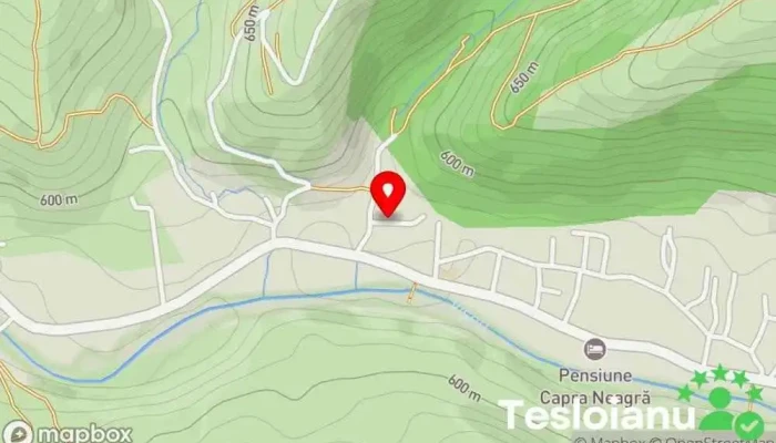 hartă a Casa Ivașcu Bed & Breakfast în Moisei