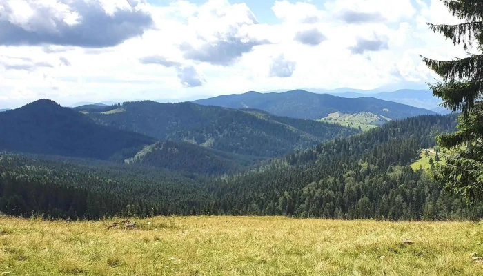 Castrol Service Auto Test Bucovina -  Locație - Suceava
