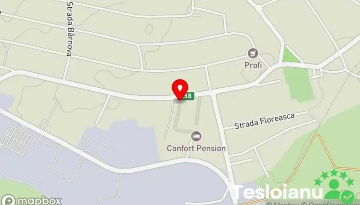 hartă a Castrol Service Lupus Cito Service auto, Serviciu de schimbare a uleiului în Șcheia
