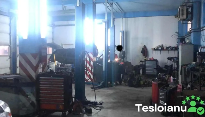 Castrol Service Nely Auto -  Lux Interior - Vicovu De Jos