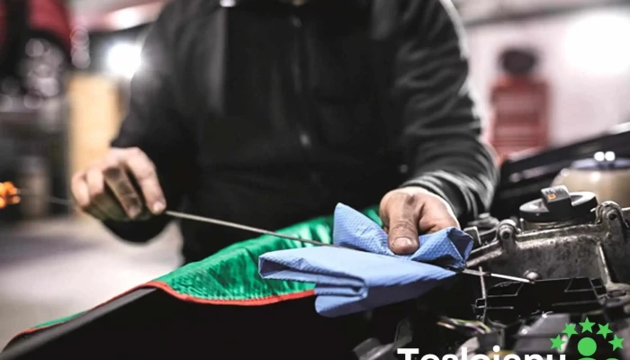 Castrol Service Sianmi Auto - România