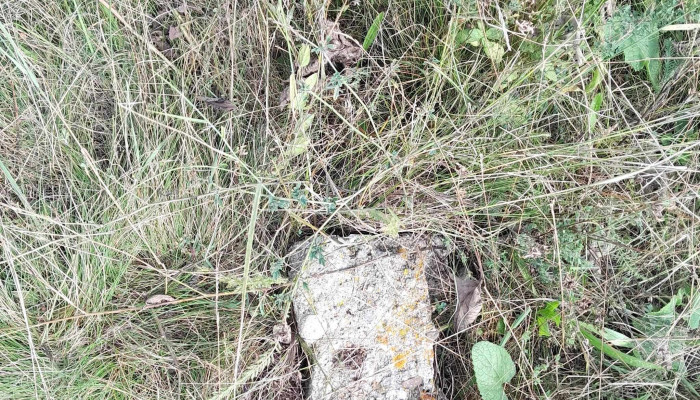 Castrul Roman De La Comolau Program - Reci
