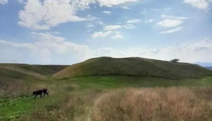 Castrul roman de la Comolău - Reci