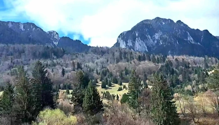 Centrul De Vizitare Parcul National Piatra Craiului Aproape De Mine - Zărnești