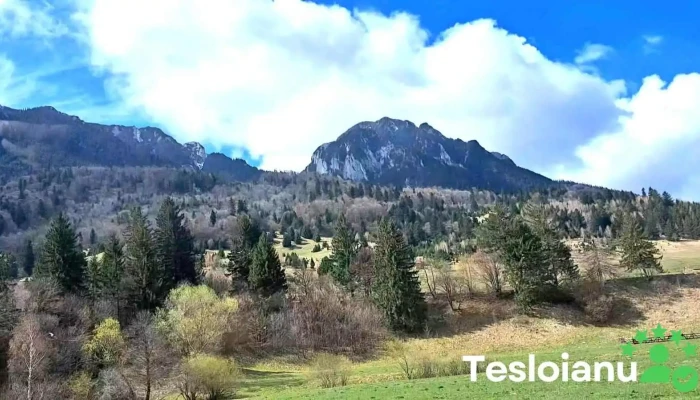 Centrul de Vizitare Parcul Național Piatra Craiului - Zărnești