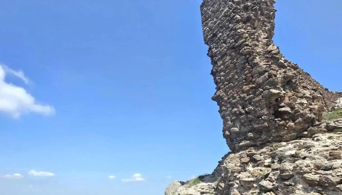 Cetatea Siria Cele Mai Recente - Romania