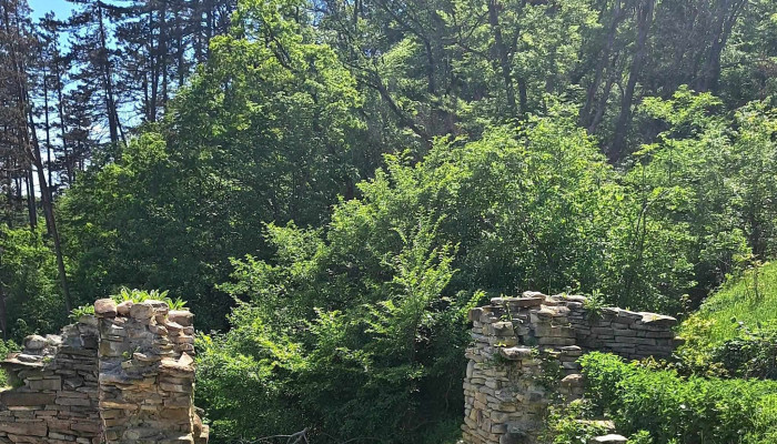 Cetatea Taraneasca Saschiz Reduceri - Saschiz