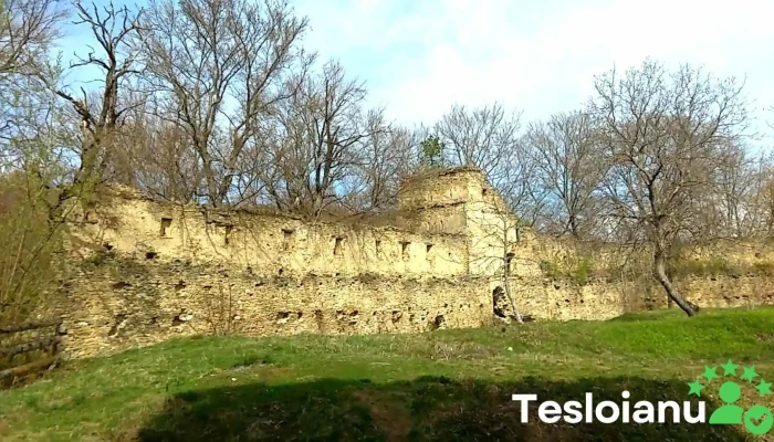 Cetatea Taraneasca Saschiz Videoclipuri - Saschiz