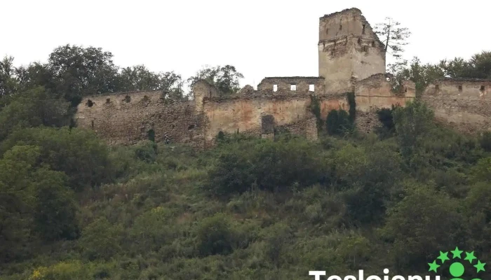 Cetatea Țărănească Saschiz - Saschiz