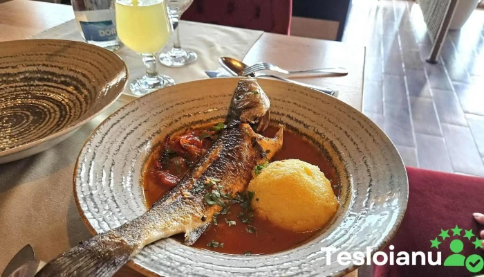 Cherhanaua Tasaul Bouillabaisse - Năvodari