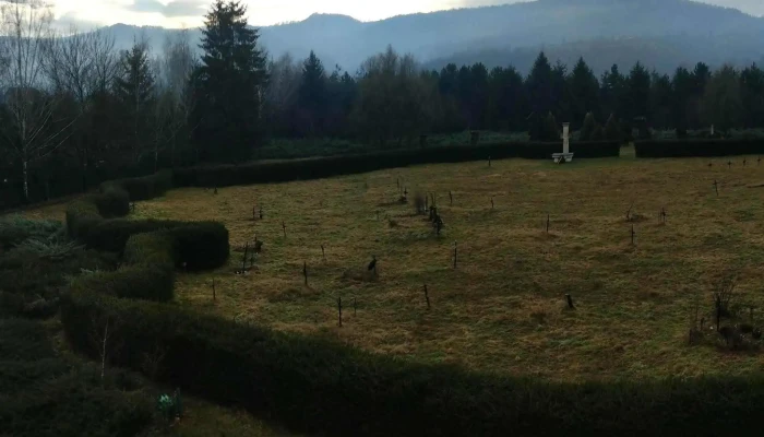 Cimitirul Saracilor Site Web - Sighetu Marmației