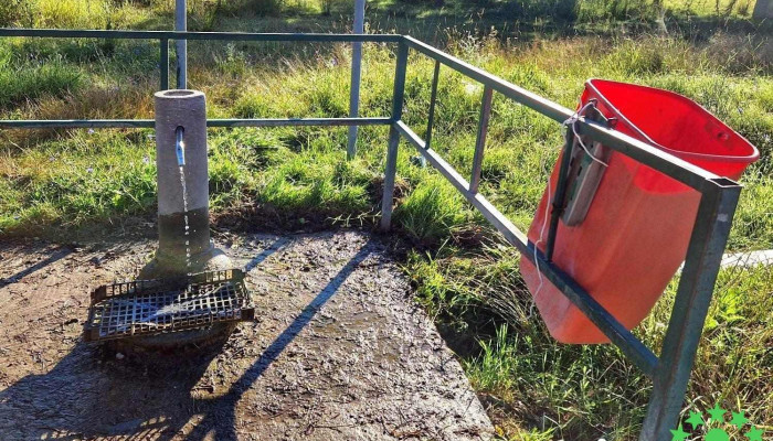 Cismea Valea Lunga Ogrea Aproape De Mine - Valea Lungă-ogrea