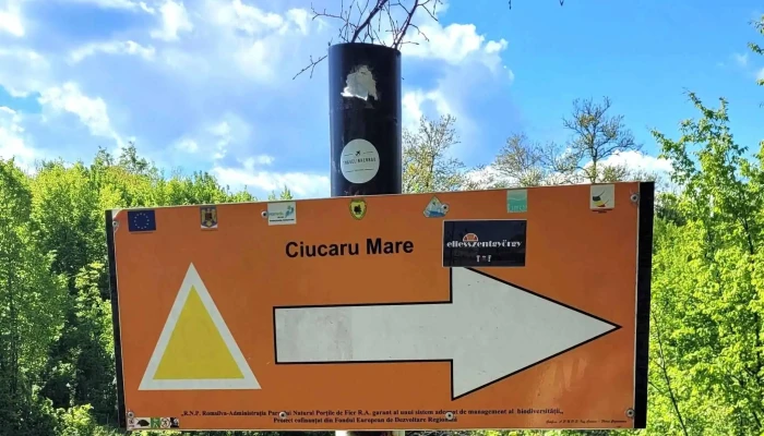 Ciucarul Mare -  Adresă - Dubova