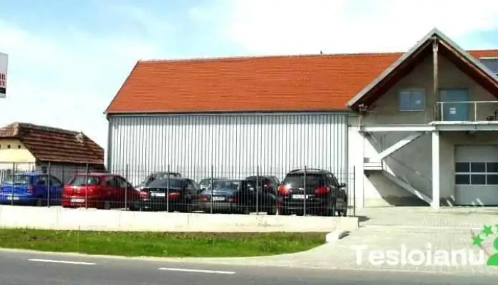 CleanLux Profesional - Remetea Mare