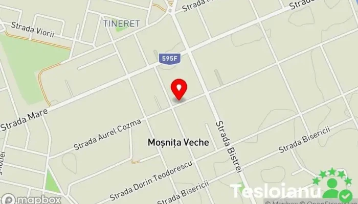 CleanRomtim Timișoara - Moșnița Veche 300011