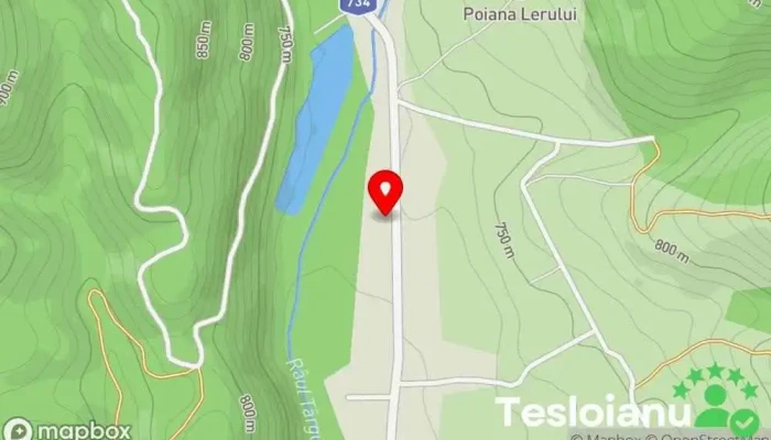 hartă a CLW Service auto în Lerești