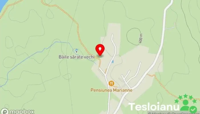 hartă a Complex turistic Lac Sărat Ideciu Bai Pensiune în Ideciu Băi
