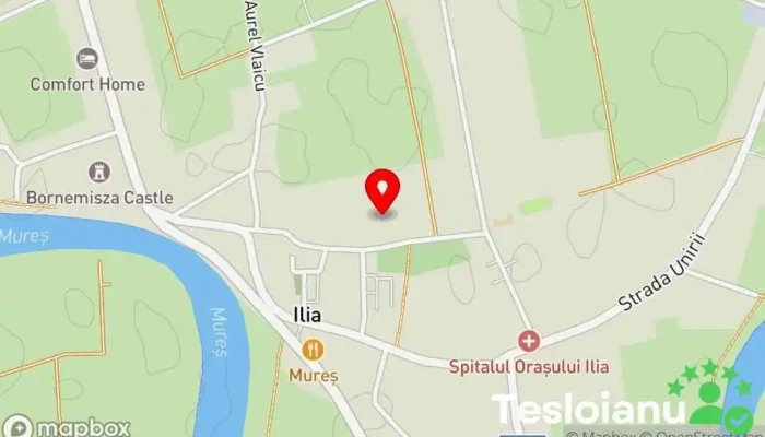 hartă a COMSERV S.R.L.  în Ilia