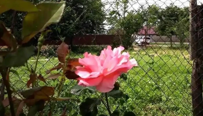 Comuna Dor Mărunt - Romania