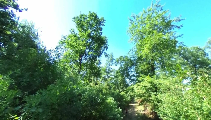 Comuna Farcasele Street View Si 360deg - Romania