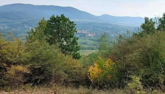 Comuna Gherta Mica Fotografii - Romania