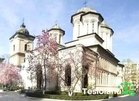 Comuna Huruiesti Comentarii - Romania