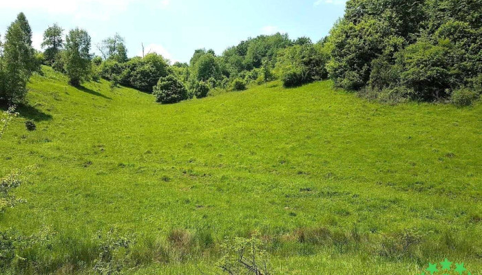Comuna Lazuri de Beiuș - Romania