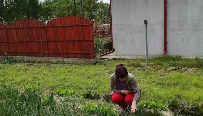 Comuna Ogrezeni - Romania