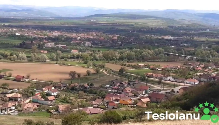 Comuna Vintu De Jos Videoclipuri - Romania