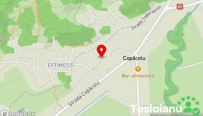 hartă a Copăcelu  în 