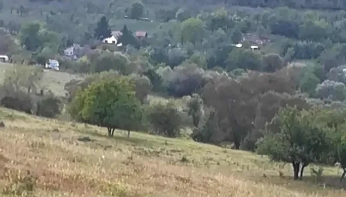 Corbesti Scor - Corbești
