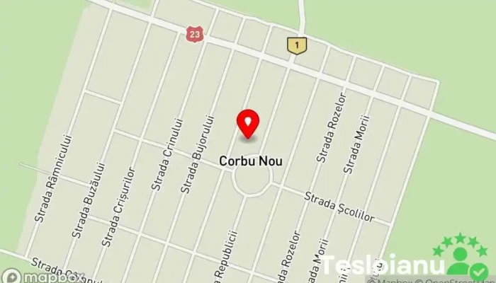 hartă a Corbu Nou  în Corbu Nou